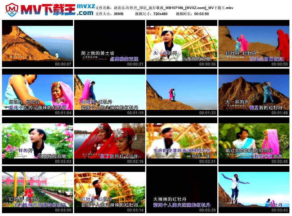 赵青岳-红牡丹_国语_流行歌曲_MB107186